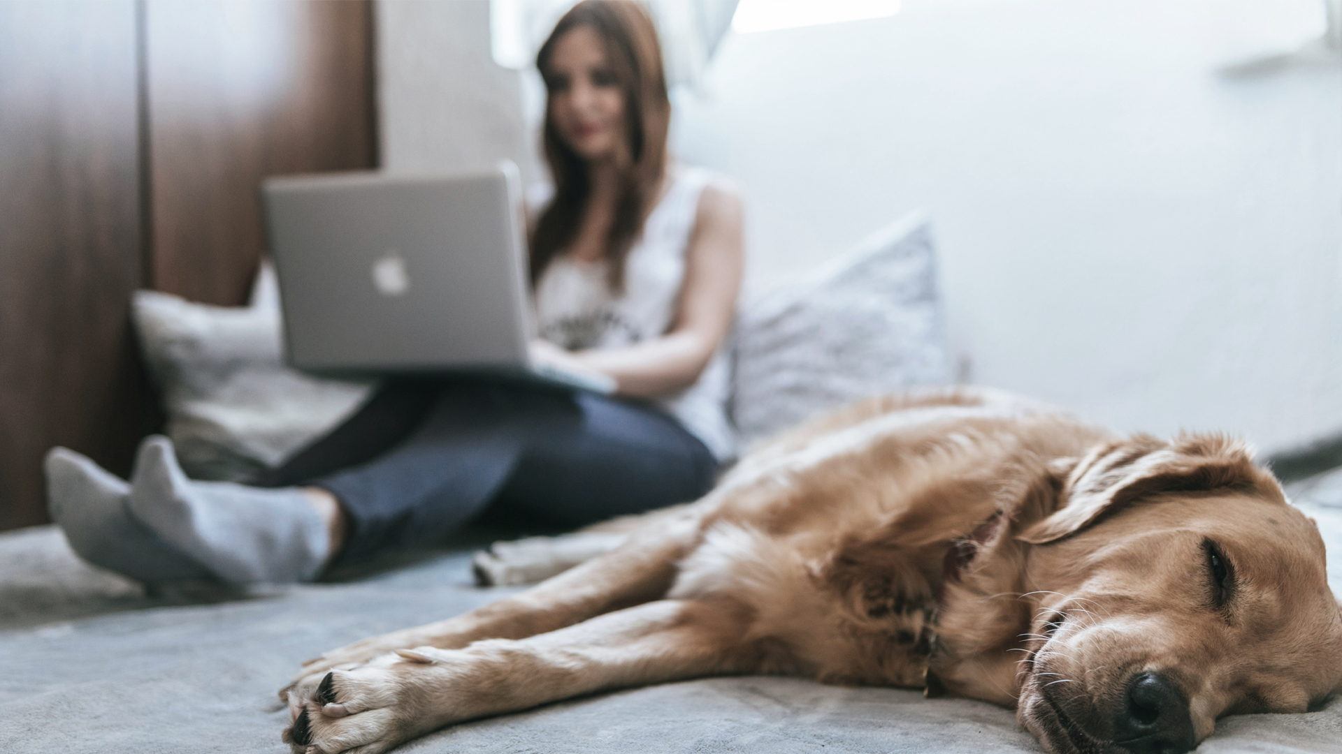 Photograph of woman using laptop with dog in foreground